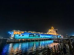 -泰达航母主题公园