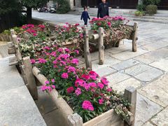 -回龙窝历史文化街区