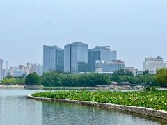 -莲花池公园