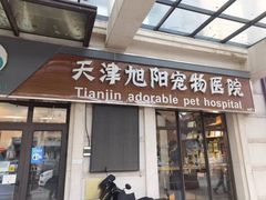 -美联众合宠物医院·爱萌分院·内外科·猫科中心