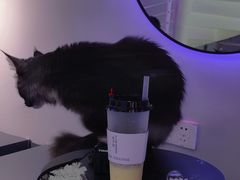 -极木²邸 人与宠物·互动社区