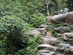 -岳麓山风景名胜区