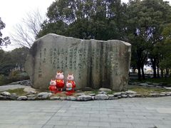 -溱湖国家湿地公园