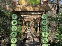 -大岭沟猕猴桃谷风景区