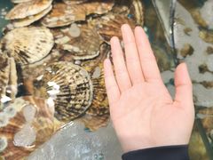-震海贝烤贝·民俗特色店(延吉总店)