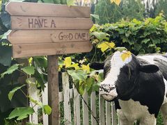 -安德鲁户外烧烤帐篷营地(马泉营店)