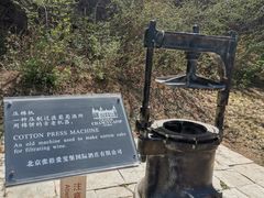-北京张裕爱斐堡酒庄