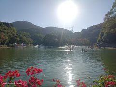-广州市帽峰山景区