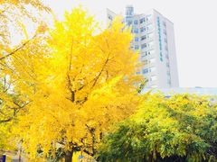 -大连人民广场