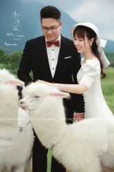 -花漾摄影优选工作室(东莞原创作品店)