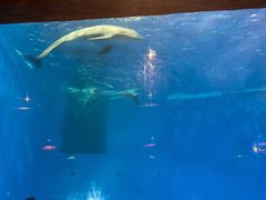 -华夏文旅西安度假区