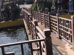 -呀路古热带植物园