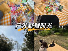 -东湖落雁景区