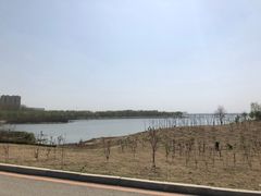 -丁香湖公园
