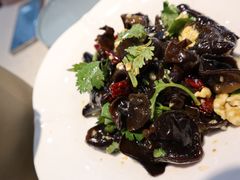 -洞庭家宴·头牌甲鱼(广渠门店)