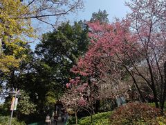 -乌山风景区