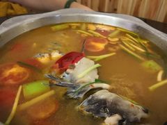 -苗家恒灵酸汤鱼-跳水牛肉连锁店(凯里总店)
