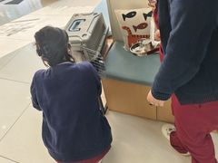 -美联众合动物医院·24h京西诊疗中心