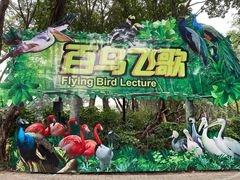 -广州长隆飞鸟乐园