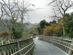-福道