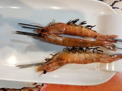 -大孩龙虾(体育场旗舰店)