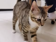 -美联众合动物医院·24h京西诊疗中心