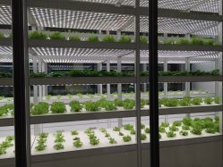 安利体验馆-安利上海体验馆