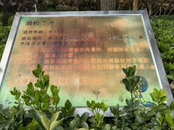 -酷酷兔少儿拓展天地