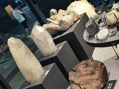 -浙江自然博物院(杭州馆)