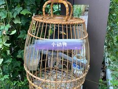 -小象托育