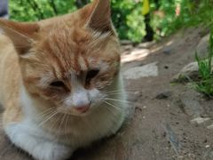 -终南山南五台景区