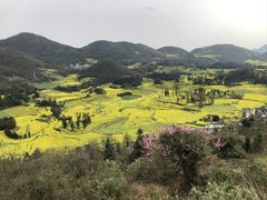 -牛街螺丝田