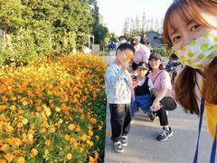 -前小桔亲子创意农场·草莓采摘·露营烧烤