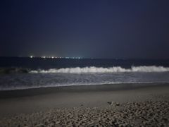 -玫瑰海岸文化旅游度假区