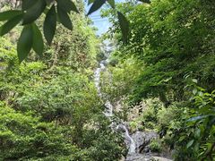 -东天目山风景区