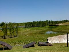 -春花秋色城市公园