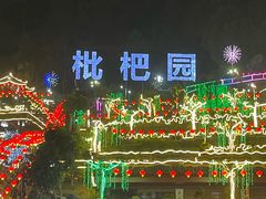 -枇杷园食为鲜火锅(南山店)