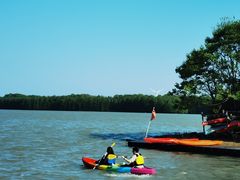 -上海海湾国家森林公园