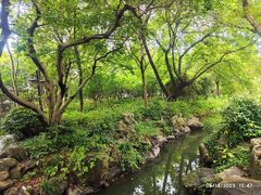 -西溪国家湿地公园