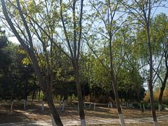 -太阳宫公园
