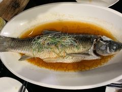 -頂好酒家·经典粤菜(海信广场店)