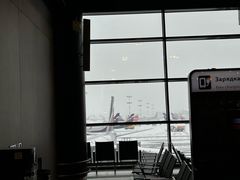 -谢列梅捷沃国际机场