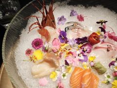 -地球美食剧场