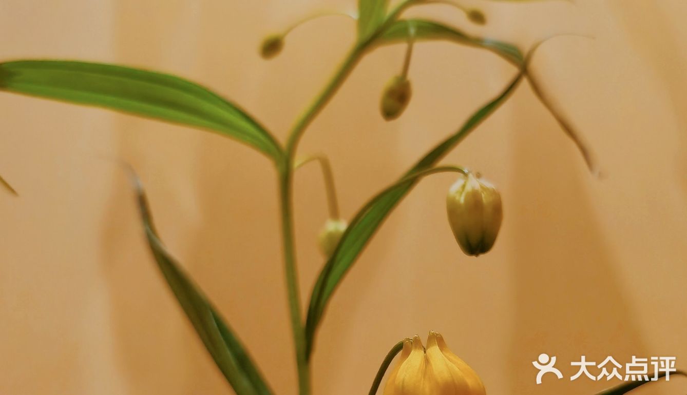 哇哦！小姐妹请我吃肖战同款下午茶