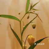 哇哦！小姐妹请我吃肖战同款下午茶