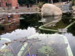 -晋江五店市传统文化旅游区
