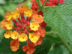 -苏州河梦清园环保主题公园