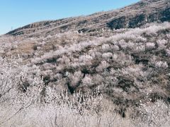 -定都阁