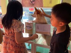 -上海崇明金茂凯悦酒店