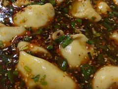 牛肉韭黄饺子-尤素福东举院饺子馆